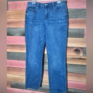 Judy Blue Boyfriend Fit Blue Jeans. 13/31